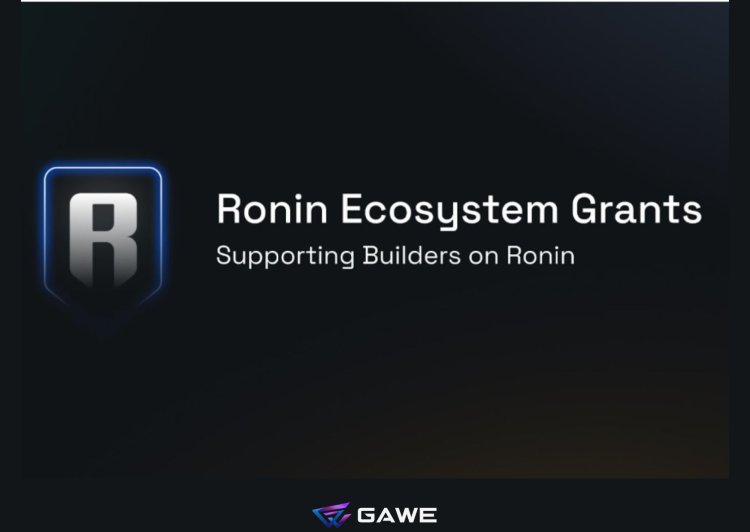 Web3夢想成真：Ronin資助計劃啟動