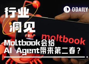 重仓过第一轮AI Agent热潮的我，如何看今天的Moltbook？