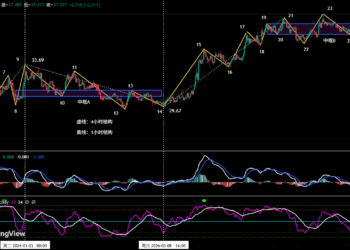 BTC反弹仍属修复，HYPE主升趋势启动 | 特邀分析