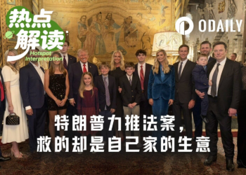 一场脱锚与一条推文：当美国总统开始为自家生意“立法护航”