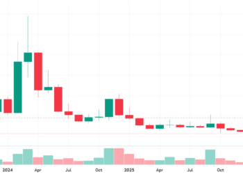 场外「融资」6500万美元，World深熊憋大招？