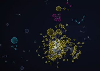 普通人如何用10分钟识别一个Token背后有庄？