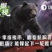 究竟是谁，坚持给加密熊市打钱？
