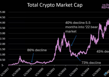熊市五个半月：一份加密市场体检表
