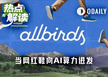 不卖鞋了卖算力，AI算力会重蹈DAT覆辙吗？