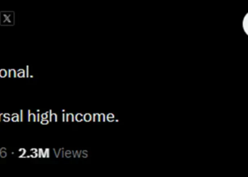 工作将死，NEET新生：一枚meme币的文化起义